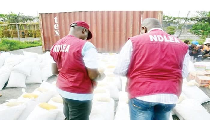 NDLEA seizes 457kg of cannabis, arrests suspected trafficker in Edo