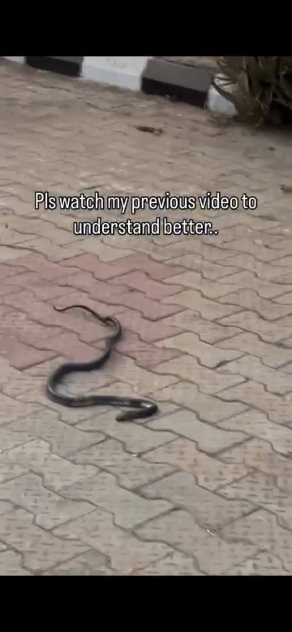 Fast-rising Nigerian singer, Ifunanya Nwangene di�s after being b!tten by cobra inside her Abuja home (video)