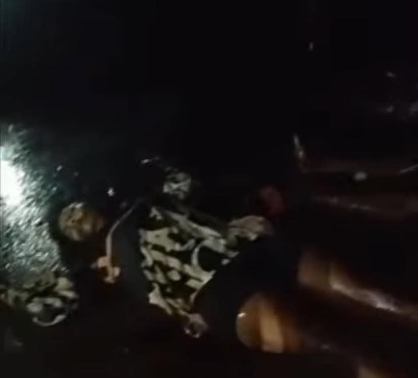 18 commuters k!lled as ancestral tree crushes bus in Enugu (videos)