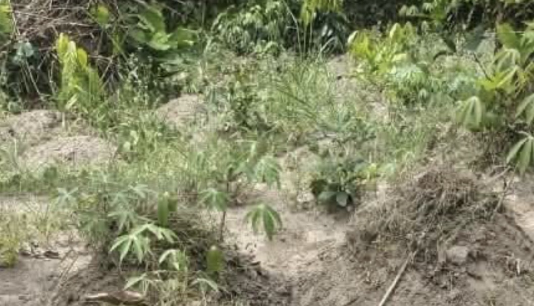 Man arrested for k!lling his wife in Rivers community