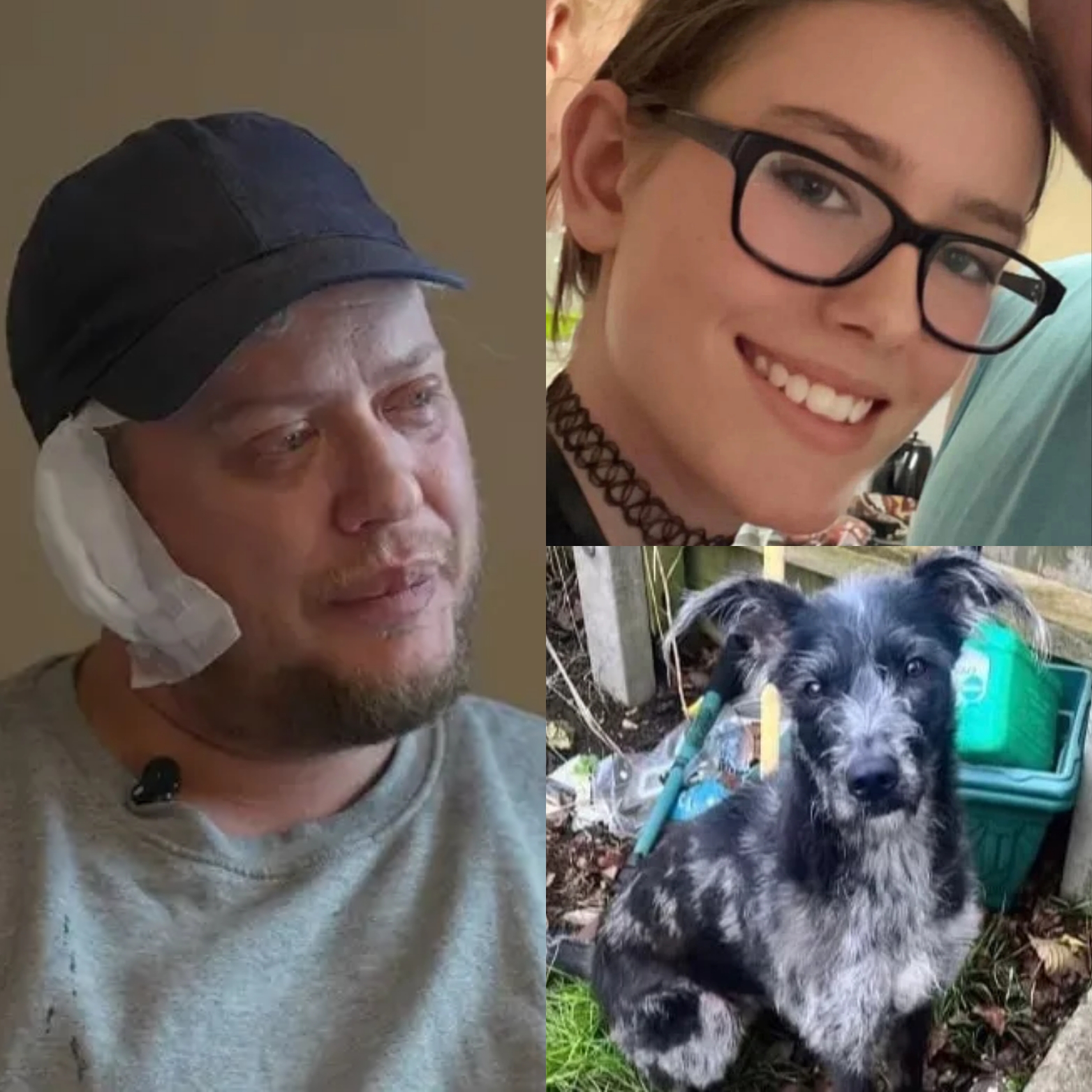 Dad Demands Dog's Destruction After Teen Daughter Loses Life in Devastating Pet Attack