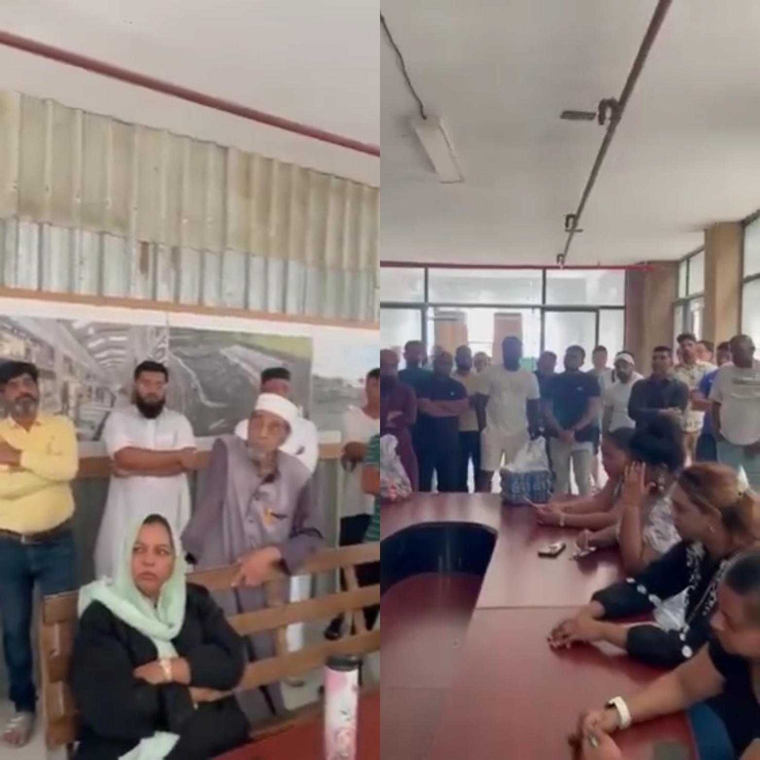 Reactions as South Africans invite immigrants of other races to tell them to stop employing black African immigrants in SA (video)