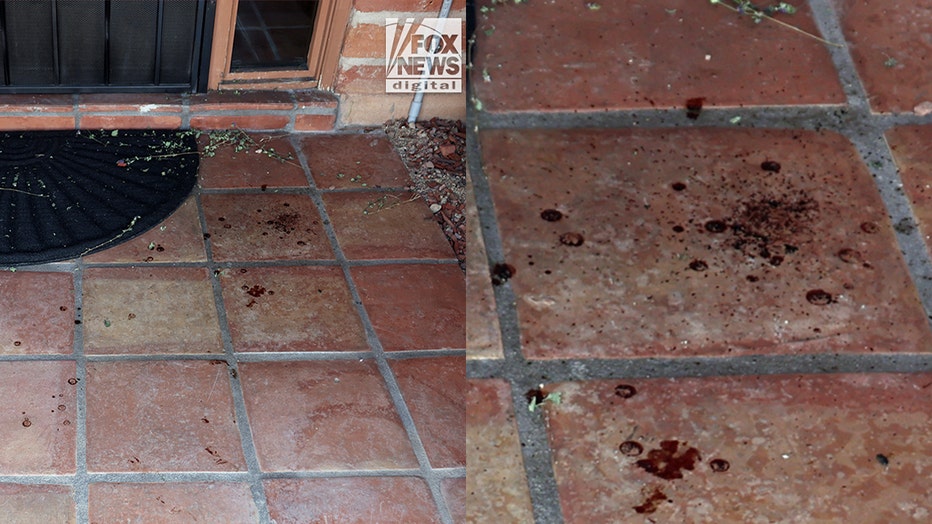 Surveillance footage related to Nancy Guthrie case