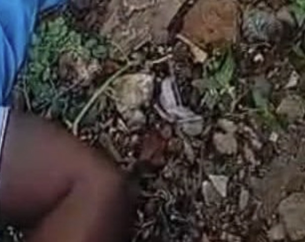 Man accused of stealing employer