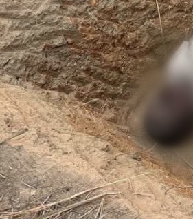 Armed herdsmen k!ll four children in Plateau community