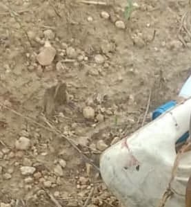Suspected herders k!ll man in Plateau