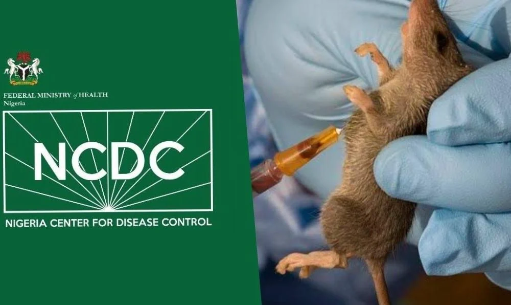 Nigeria records 263 Lassa Fever deaths, 1,115 confirmed cases across 24 states