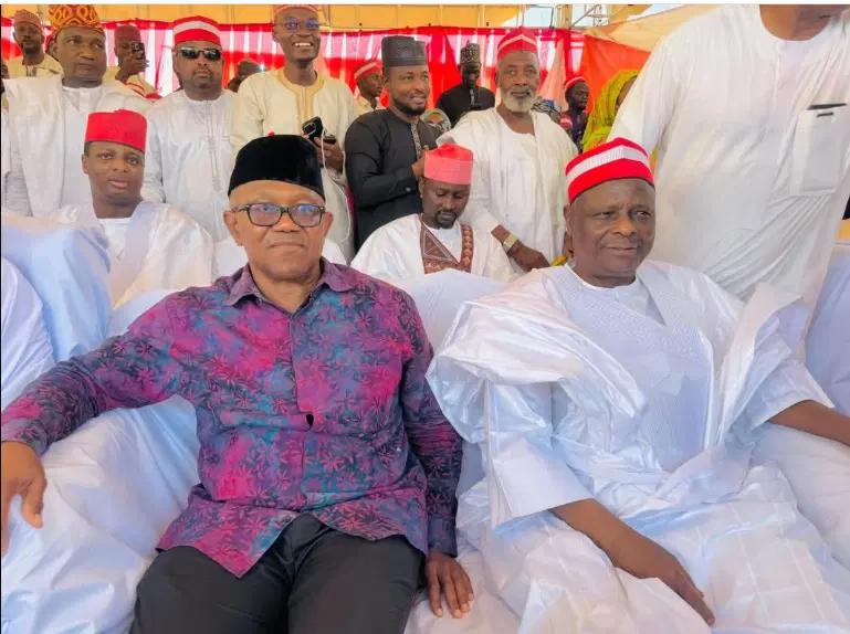 Kwankwaso has PhD, but Nigeria needs wealth creator like me ? Peter Obi