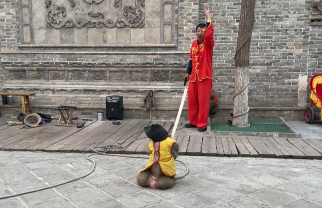 Monkey ‘tied with rope around neck’ in live ‘execution’ performance sparks outrage