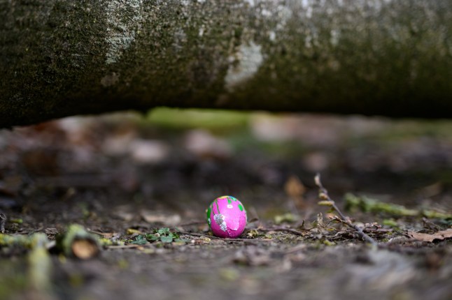Mum, 21, and baby crushed to de@th during Easter Egg Hunt in forest