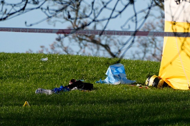 Music video director, 21, named as man is stabbed to dÂ£ath on Primrose Hill (video)