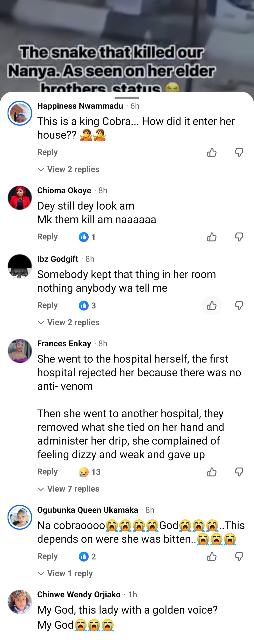 Fast-rising Nigerian singer, Ifunanya Nwangene di�s after being b!tten by cobra inside her Abuja home (video)