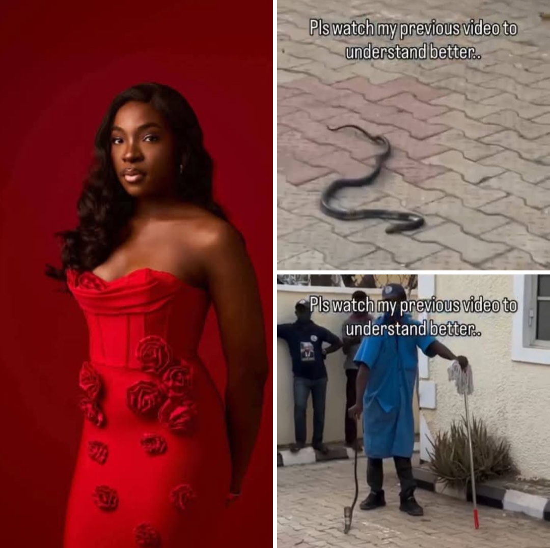 Fast-rising Nigerian singer, Ifunanya Nwangene di�s after being b!tten by cobra inside her Abuja home (video)