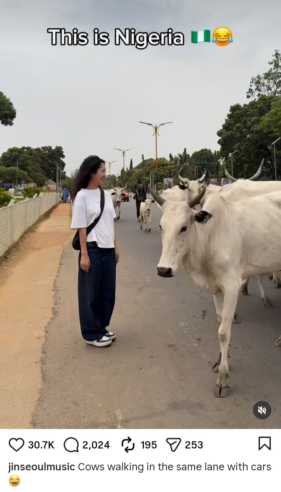 "Cows walking in the same lane with cars" Korean DJ, Jin Seoul Music shares experience in Nigeria (video)