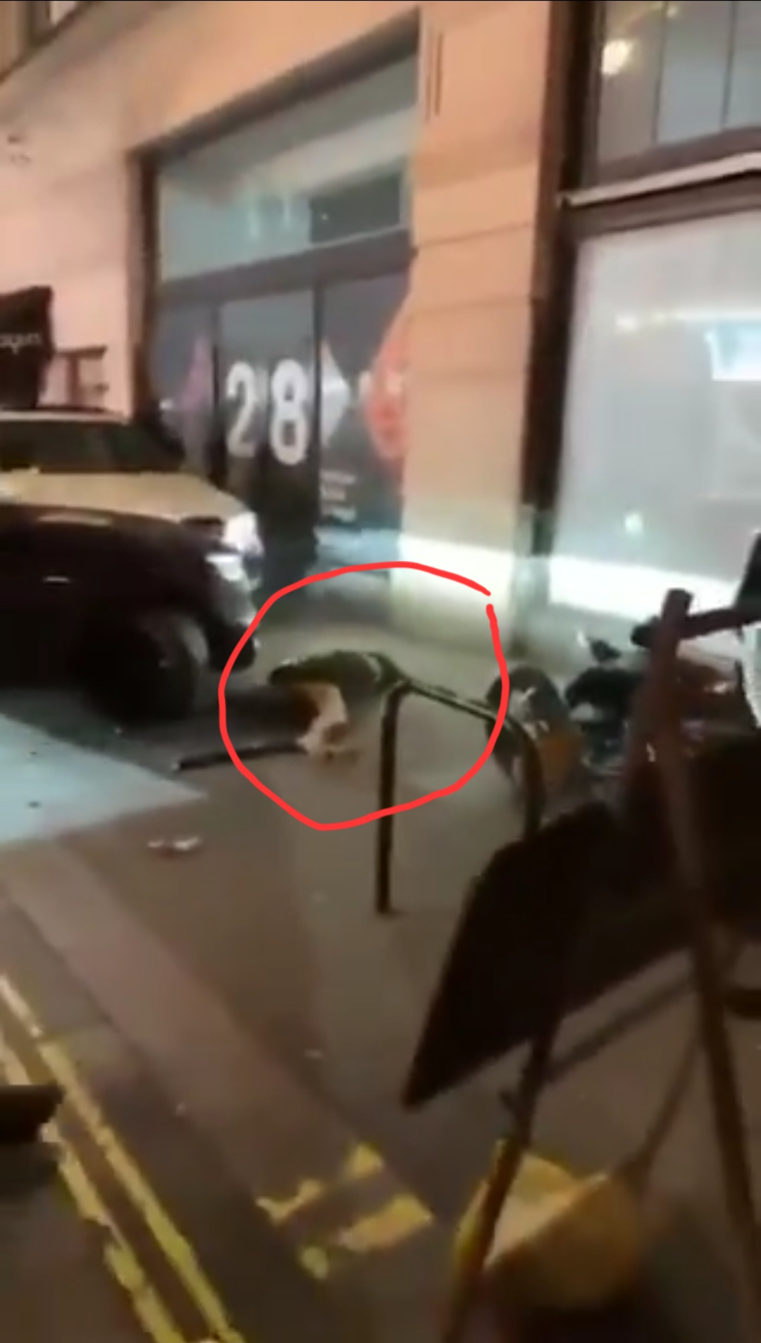 Popular UK influencer Klaudia Glam d�ad after fight with influencer Rielle led to her being knocked down with car (video)