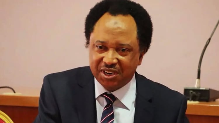 North has faced persistent Insecurity for 15 years ? Shehu Sani
