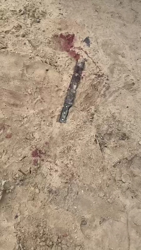 Grandma attacked and k!lled at her home in Iyana-Isashi while man who witnessed incident was brut@lised to within an inch of his life (photos/videos)