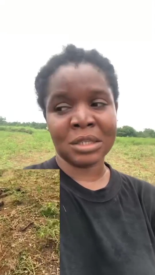 "They've levelled everything. Government has failed me"- Bayelsa farmer cries out over destruction allegedly caused by herders on her farmland