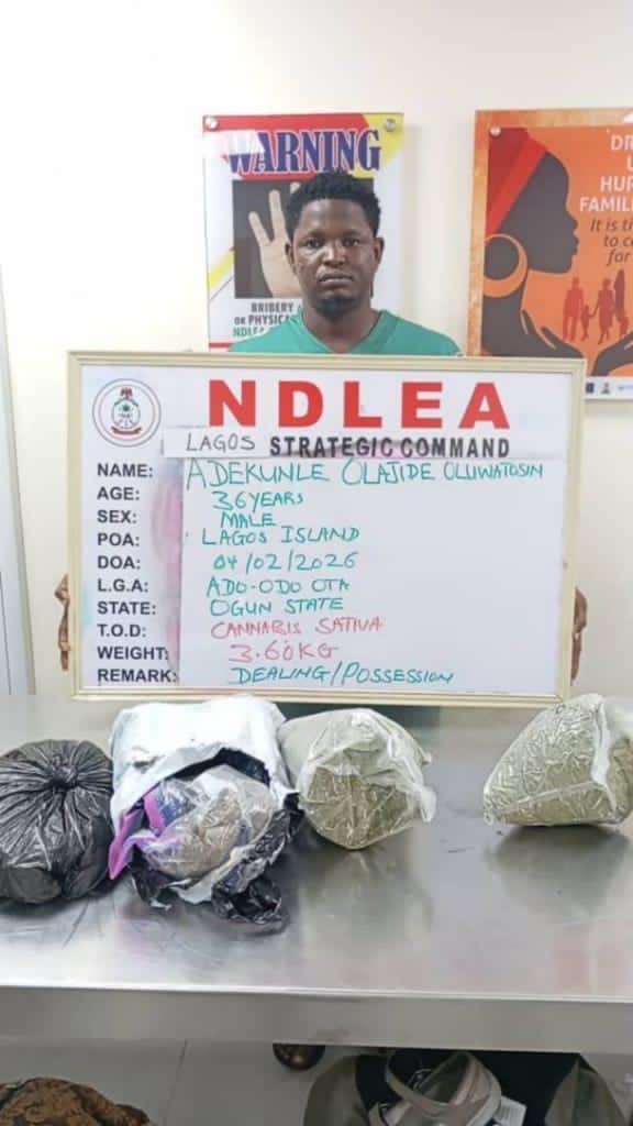 NDLEA agents conducting drug search operations
