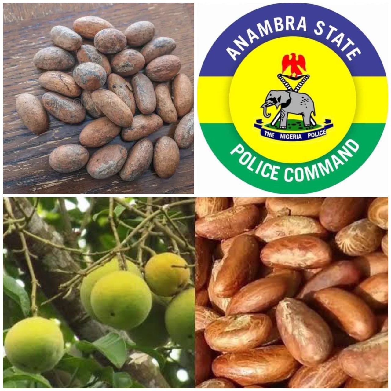 Two men k!ll relatives following dispute over land ownership and a bitter kola tree