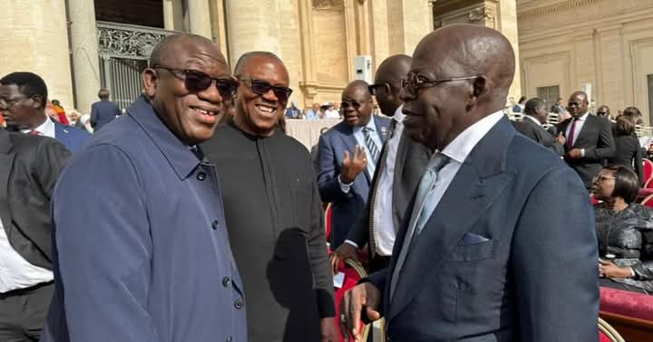 Former Ekiti Governor Fayemi reveals how he pushed Peter Obi to greet Tinubu at Vatican