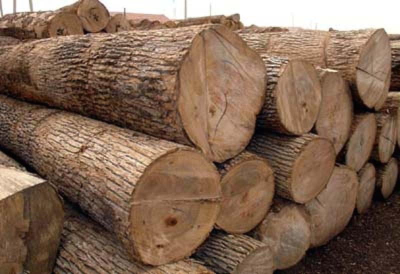 FG bans wood export, revokes licences