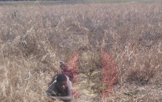 Troops rescue six kidnap victims in Kaduna