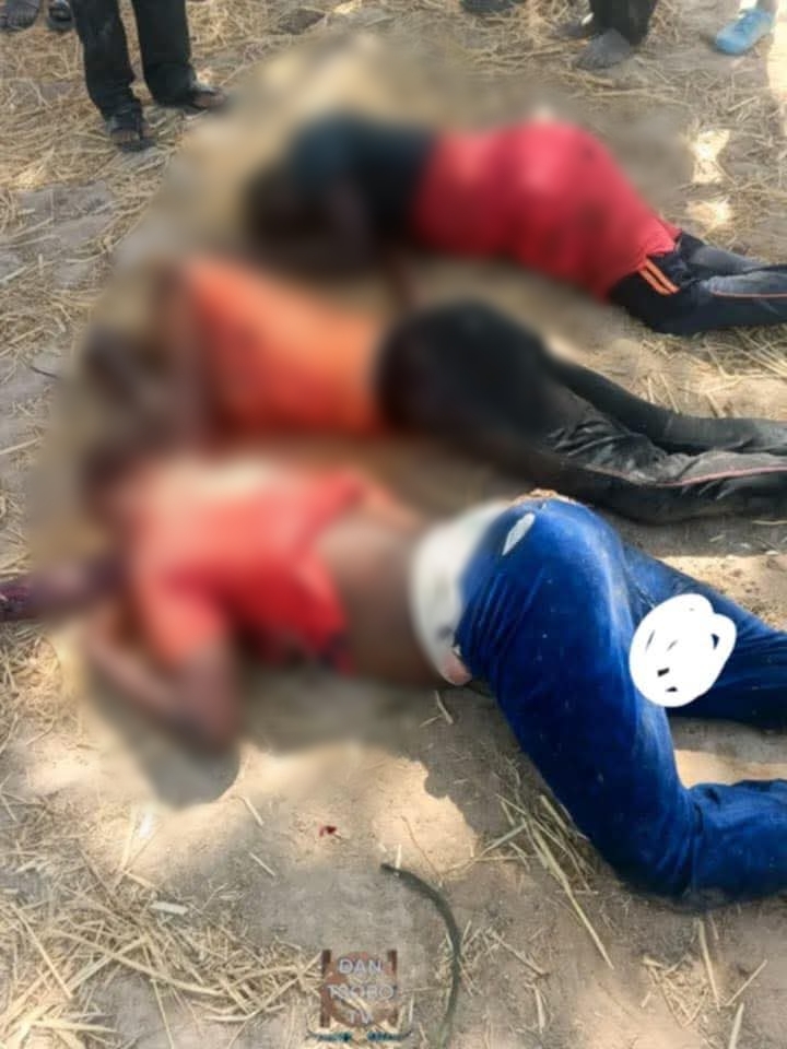 Police arrest two suspects over k!lling of three women in Adamawa