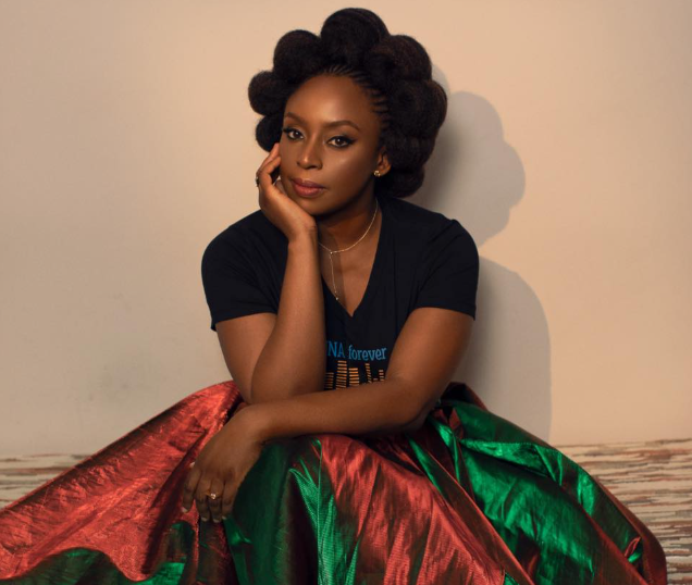 Lagos State Govt orders probe into alleged medical negligence in d3ath of Chimamanda Adichieâs son