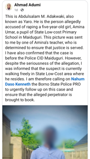 Alleged r@pe of 5-year-old girl: Wanted suspect surrenders to police in Borno