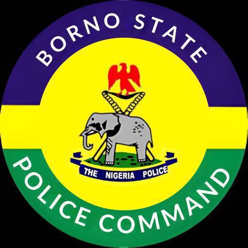Forest guard arrested for allegedly k!lling his son in Borno