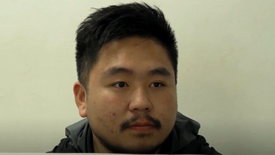 Chinese national nabbed for attempting to smuggle 2,000 queen ants from Kenya