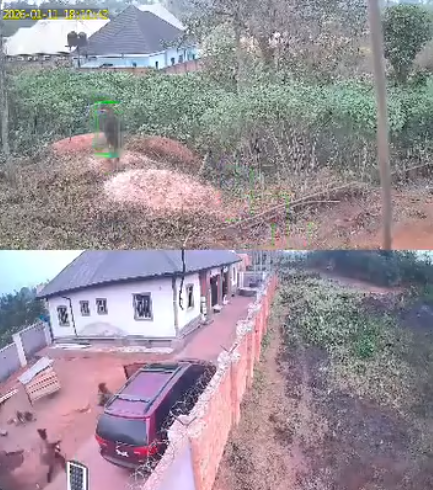 CCTV captures kidnapping incident in Ekpoma a day after protest rocked the community over incessant abduction