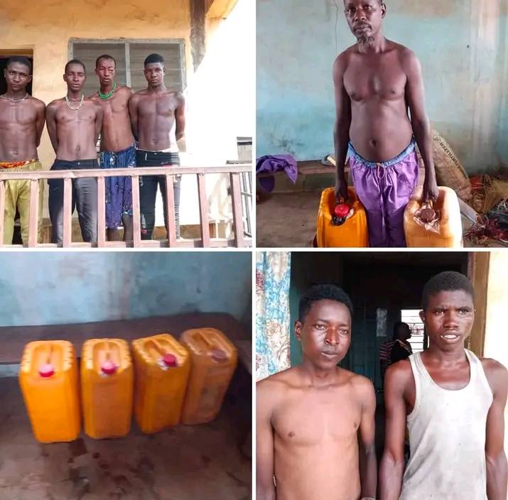 Vigilantes capture seven bandits in Kwara