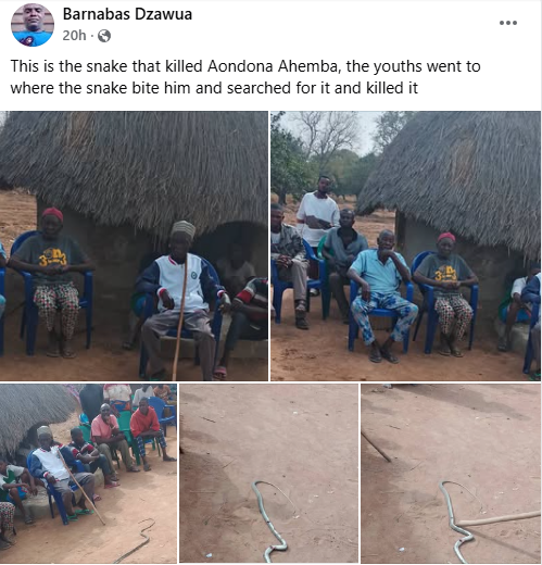 Young man d!es after snake bite in Benue community, grieving youths find and k!ll the reptile