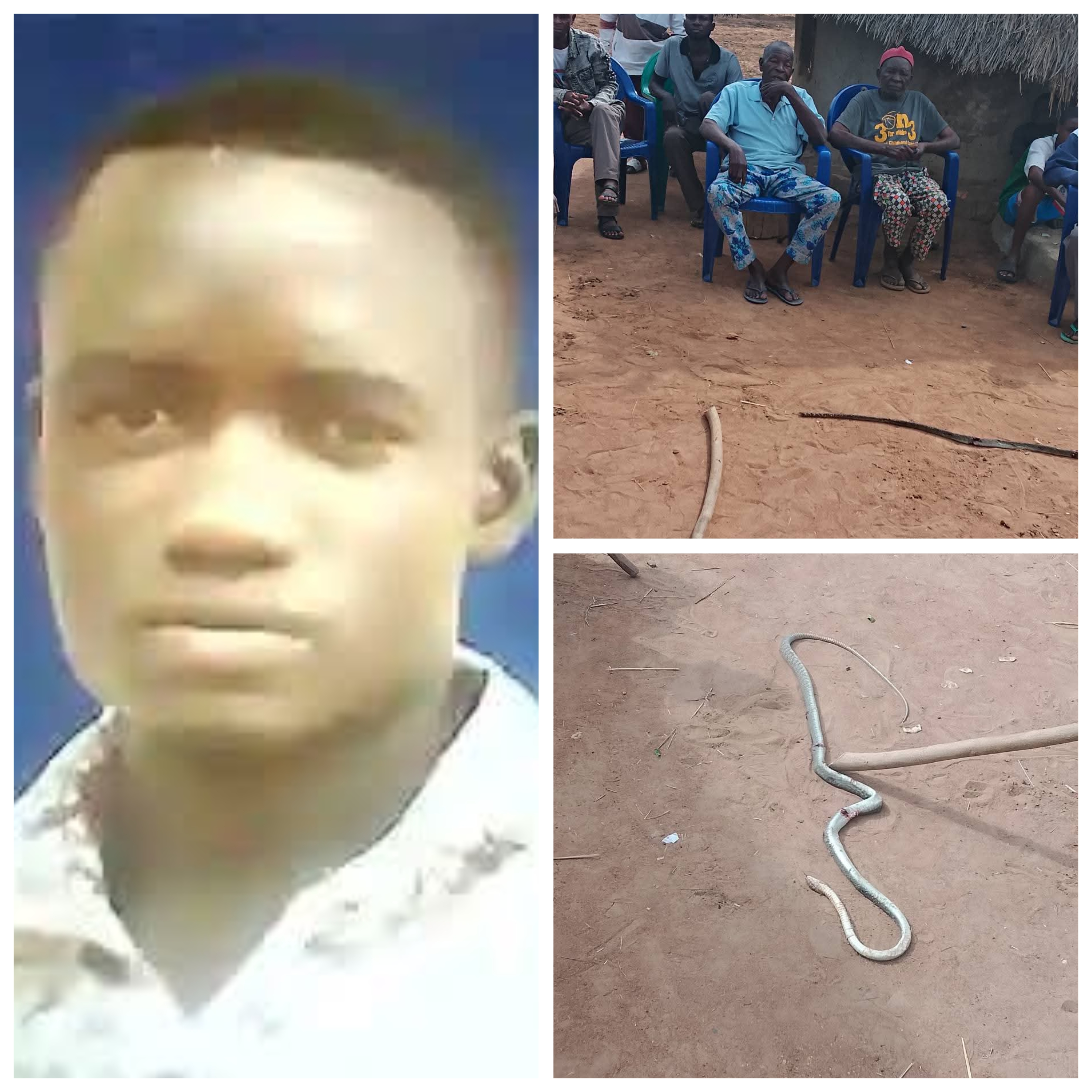 Young man d!es after snake bite in Benue community, grieving youths find and k!ll the reptile