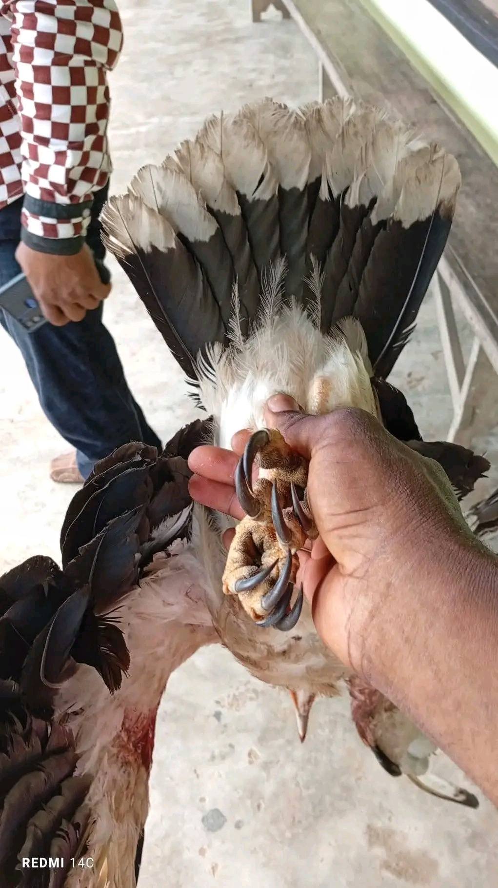 Rivers community celebrates hunter for k!lling an eagle