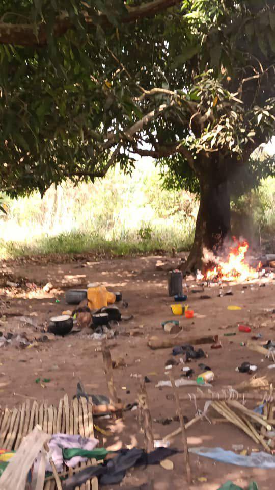 Edo police arrest 11 suspected kidnappers as 18-year-old girl stages own kidnap in Ekpoma, demands N10m ransom from her family