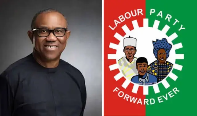 2027 election: Peter Obi cannot return to contest for President in our party- Labour Party caretaker, Nenadi Usman