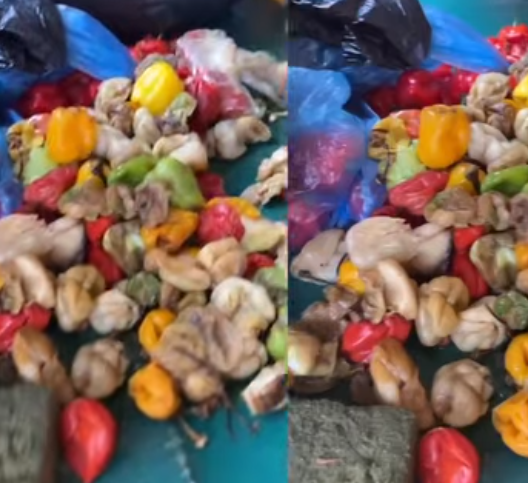 Cook your food yourselves —Nigerian lady warns after exposing food vendor blending rotten peppers for customers’ food