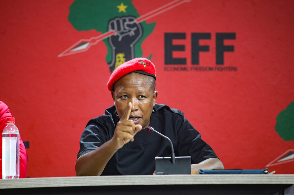 Anti-Immigration marches sponsored by the government - South African opposition leader,  Julius Malema (Video)