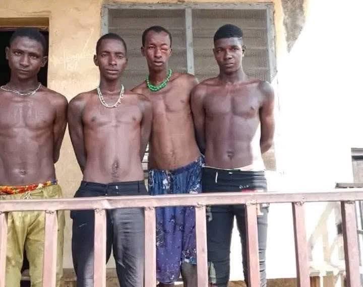 Vigilantes capture seven bandits in Kwara