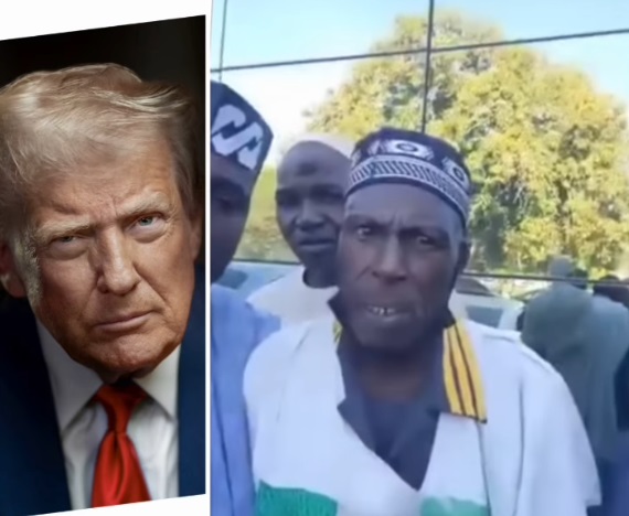 Donald Trump, if the U.S. military invades Nigeria, our mosquitoes will give your soldiers malaria and fever.? ? Ex? security expert warns (video)
