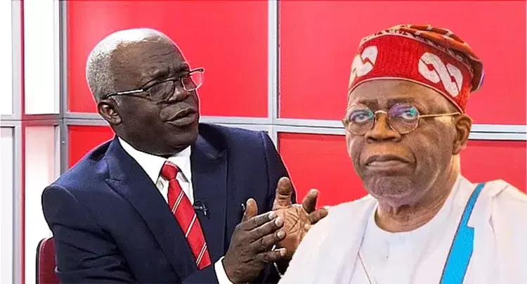 Recruit 1,000 Forest Guards for Borno state - Falana urges Tinubu