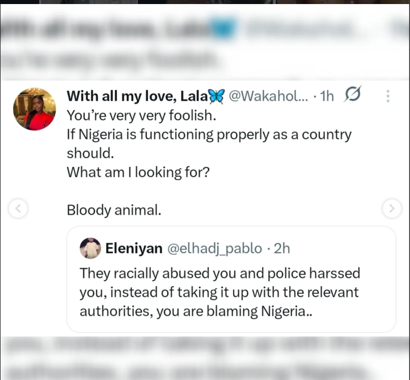 ?I went for a walk and got racially harassed? police cars, dog unit pulled up on me? ? Nigerian Lady living in the UK shares experience