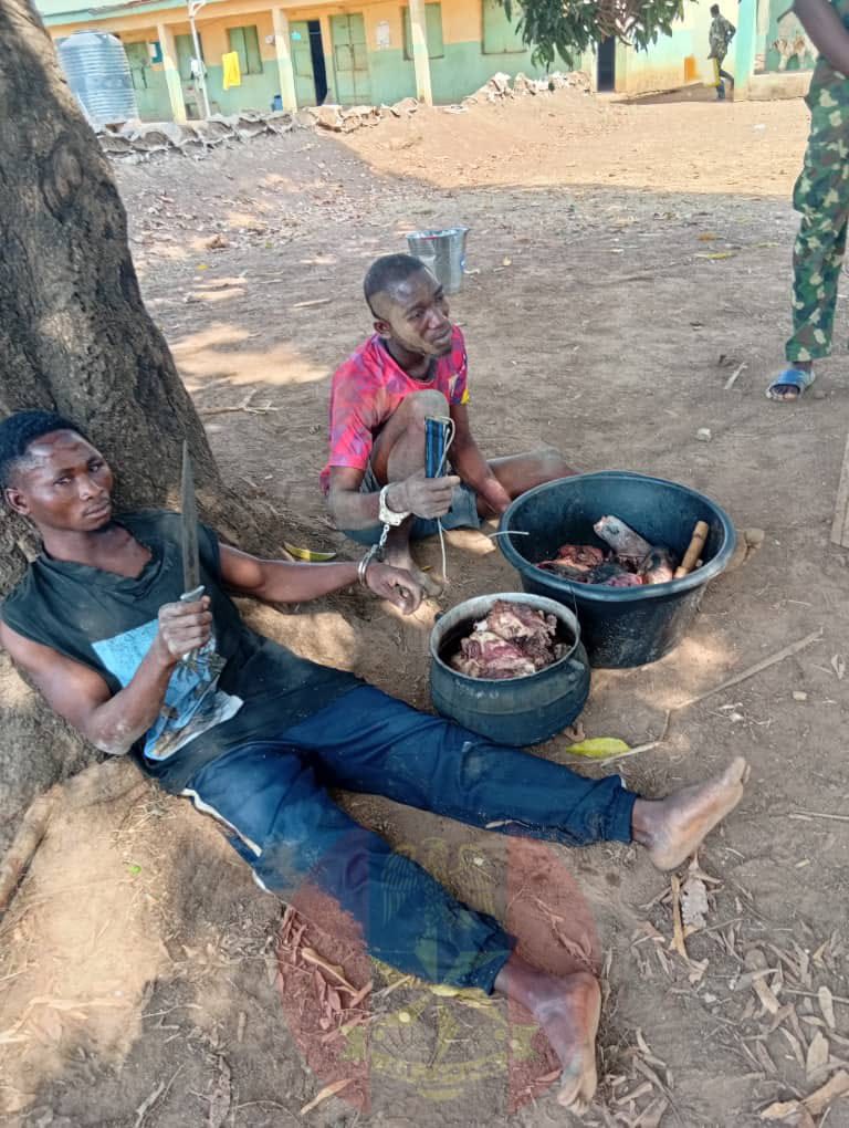 Two criminal suspects arrested while butchering rustled cattle meat as troops neutralize armed bandit in Benue