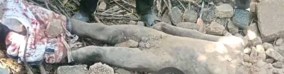 Police arrest UNIJOS student for k!lling and burying colleague in shallow grave inside his room