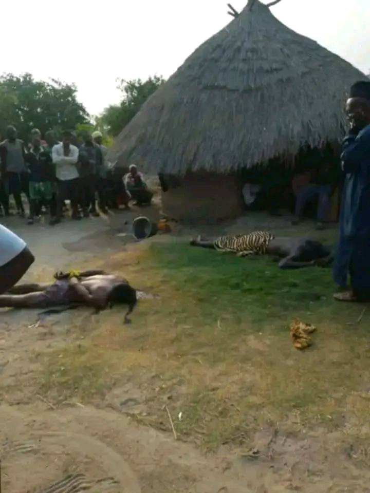 Gunmen k!ll two Community Volunteer Guards in Benue