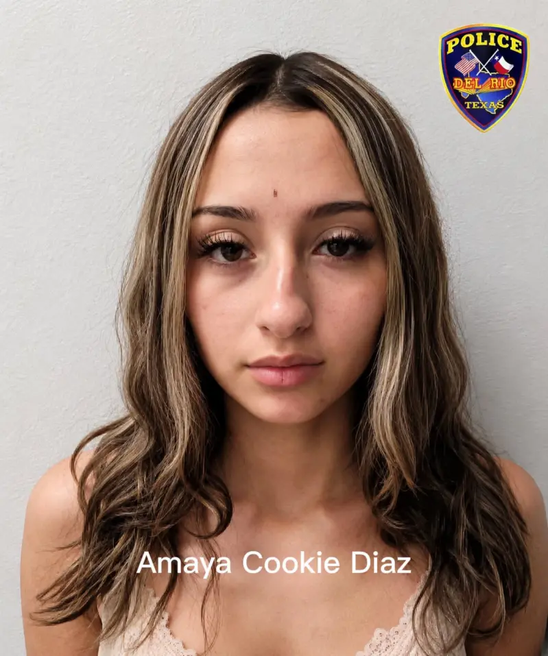 American Teenager who smiled after being arrested for stabbing mother-of-five released on $2 Million bail