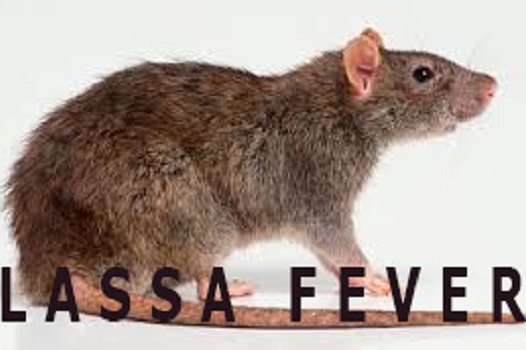 NCDC reports 1,138 Lassa fever cases, 268 f@talities